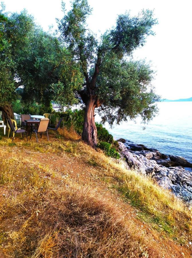Villa Leonidas Greecefiloxenia Лефокастро Экстерьер фото