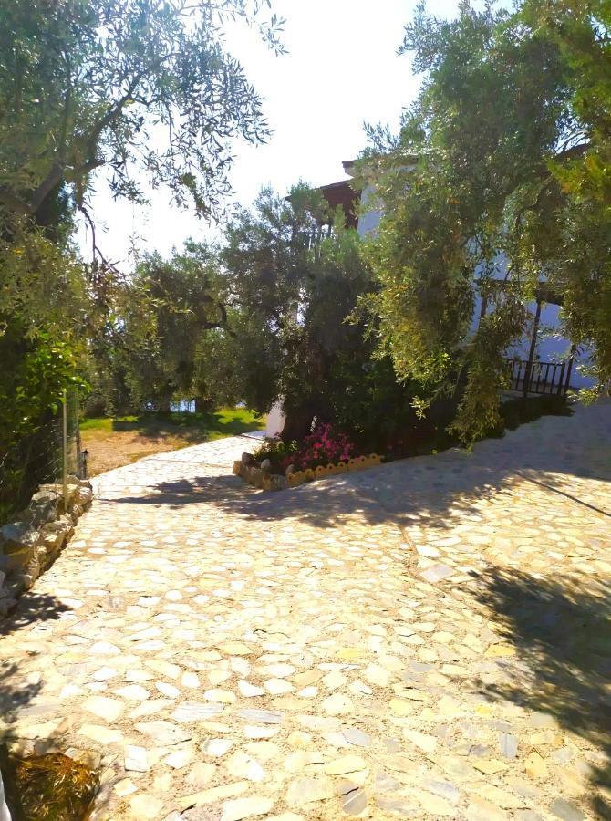 Villa Leonidas Greecefiloxenia Лефокастро Экстерьер фото