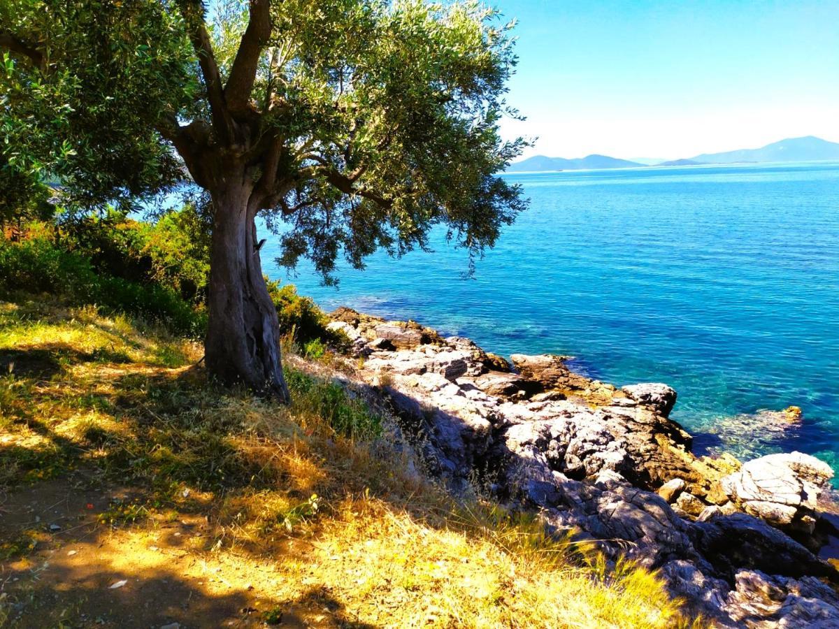 Villa Leonidas Greecefiloxenia Лефокастро Экстерьер фото