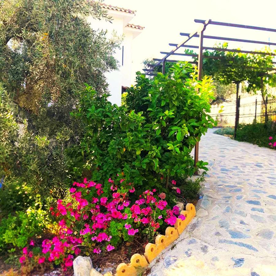 Villa Leonidas Greecefiloxenia Лефокастро Экстерьер фото