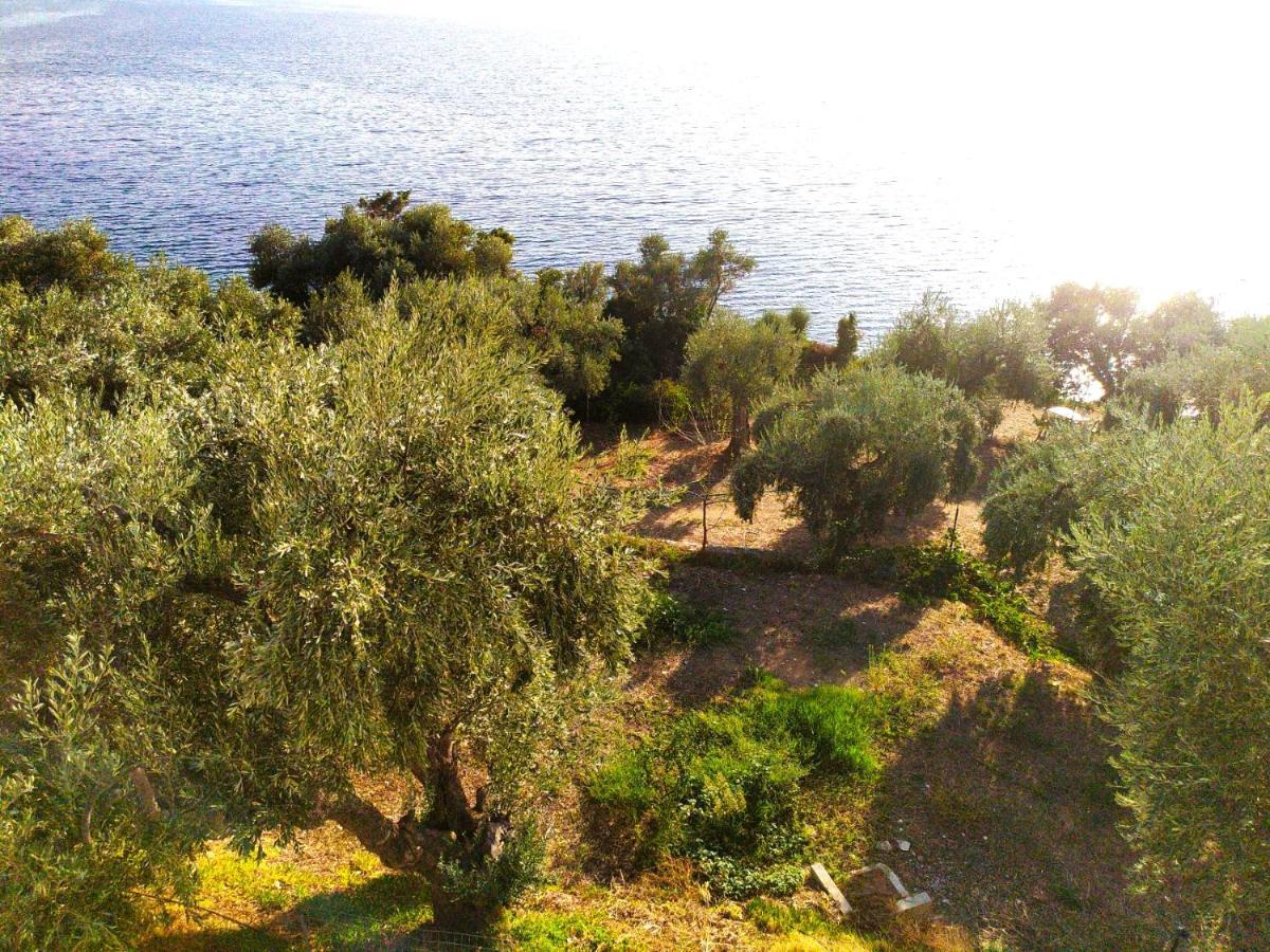 Villa Leonidas Greecefiloxenia Лефокастро Экстерьер фото