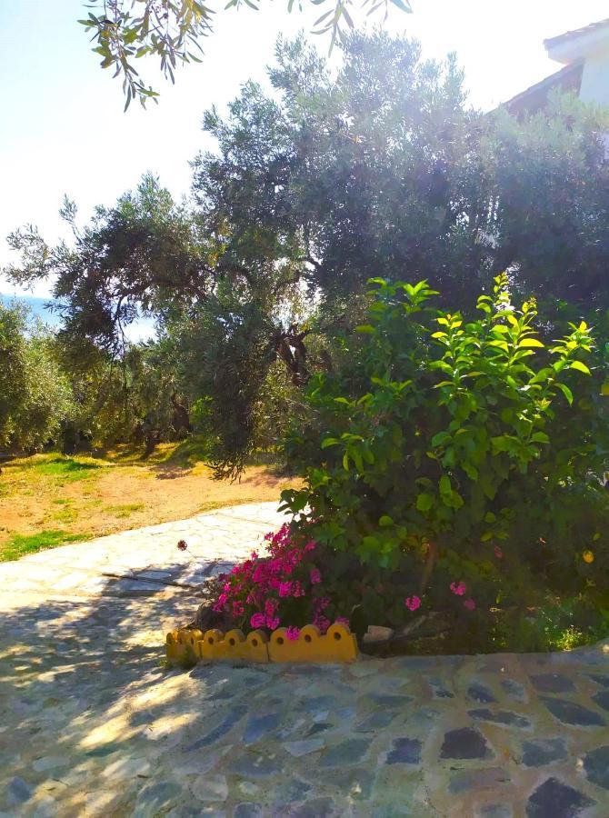 Villa Leonidas Greecefiloxenia Лефокастро Экстерьер фото